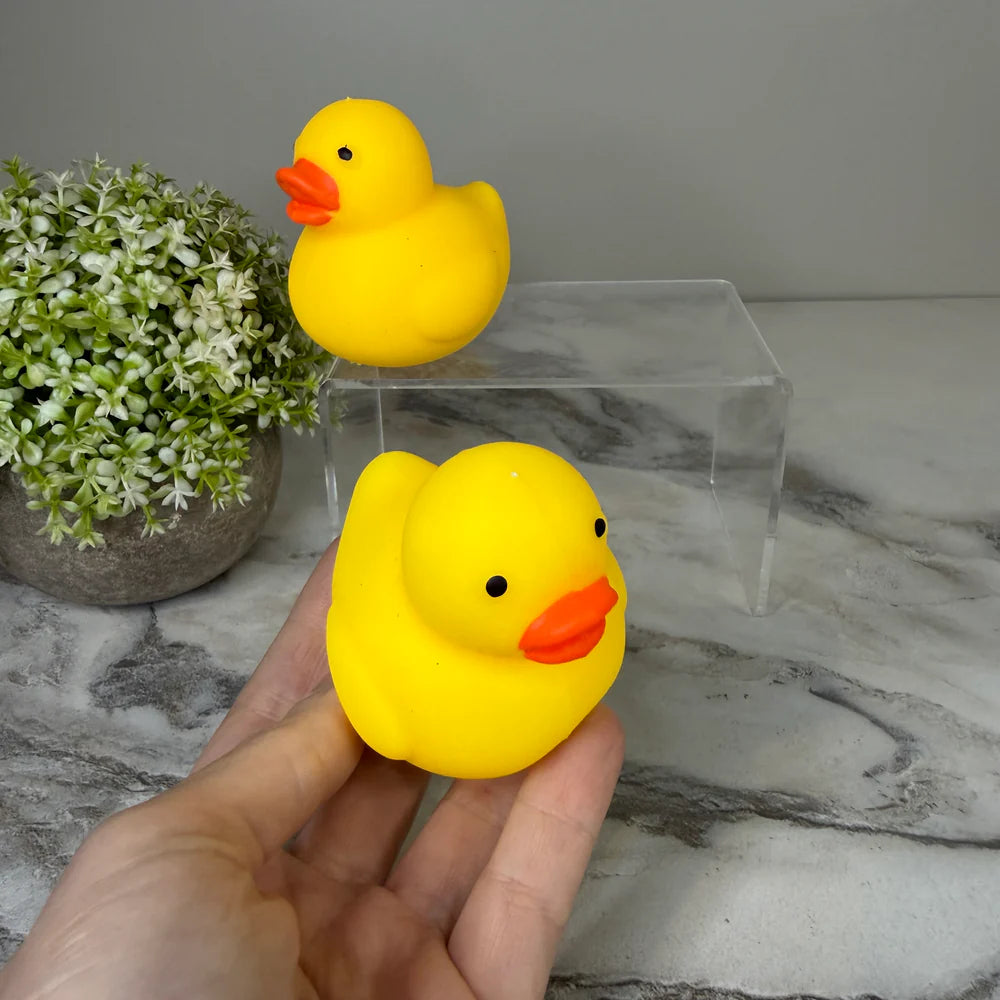 Squishy’s